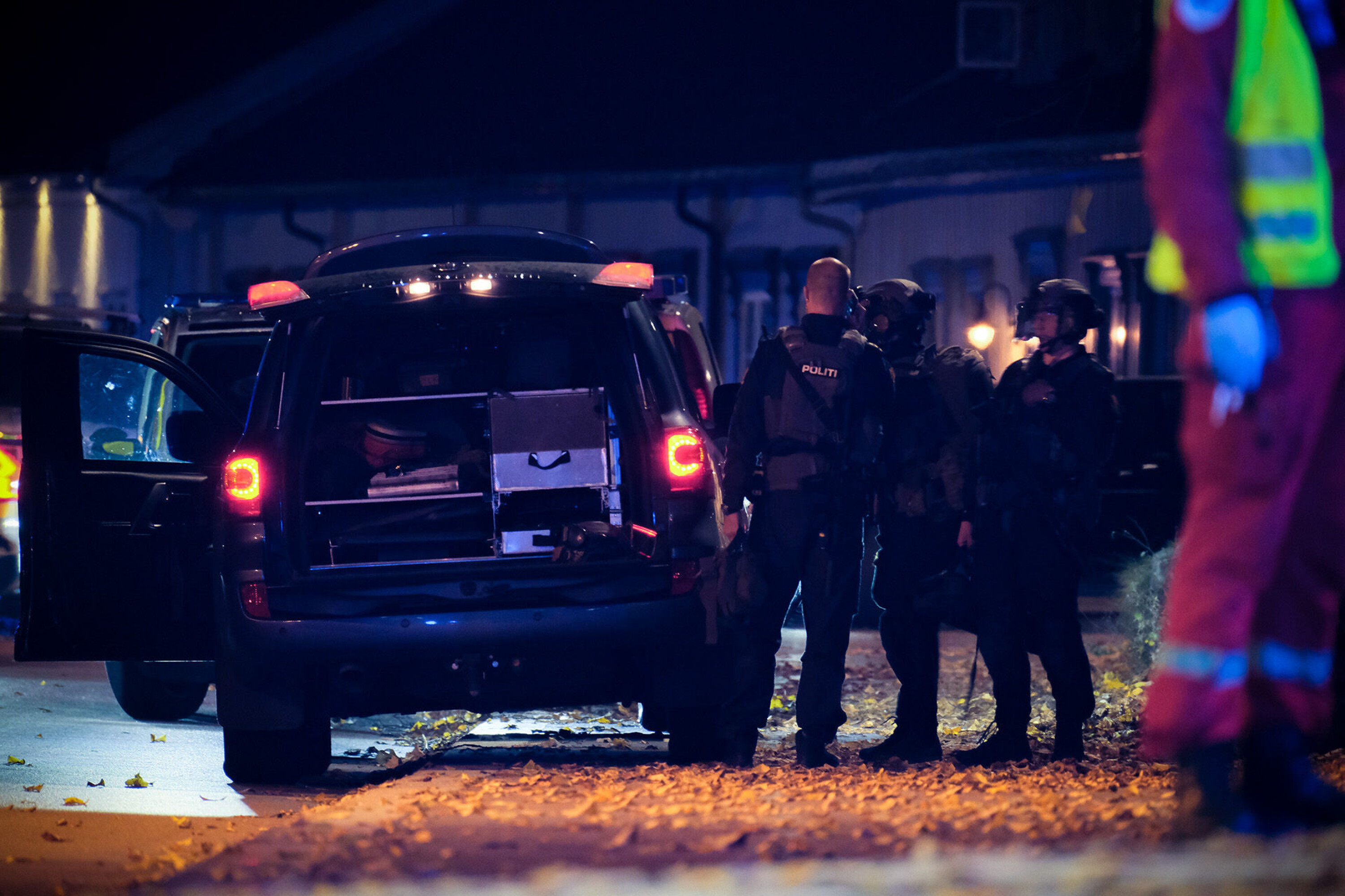 - Alle trolig drept etter politiets første kontakt med gjerningsmannen