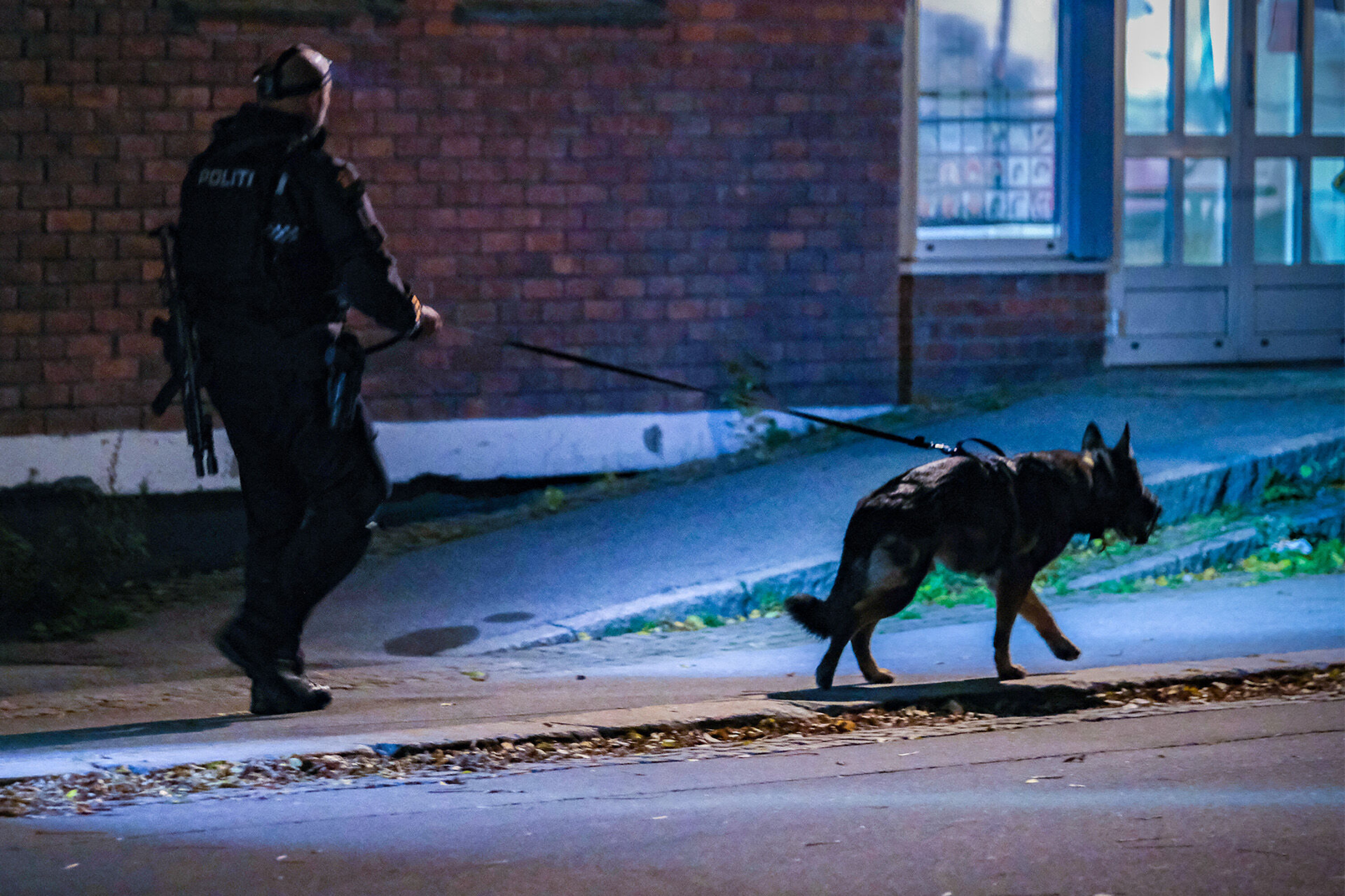 - Alle trolig drept etter politiets første kontakt med gjerningsmannen