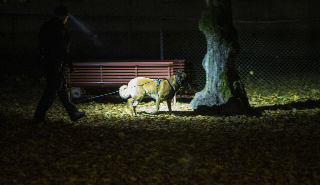 HUNDESØK: Politiets hundepatrulje gjorde et lengre søk på Strømsø, men uten resultat. HUNDESØK: Politiets hundepatrulje gjorde et lengre søk på Strømsø, men uten resultat.