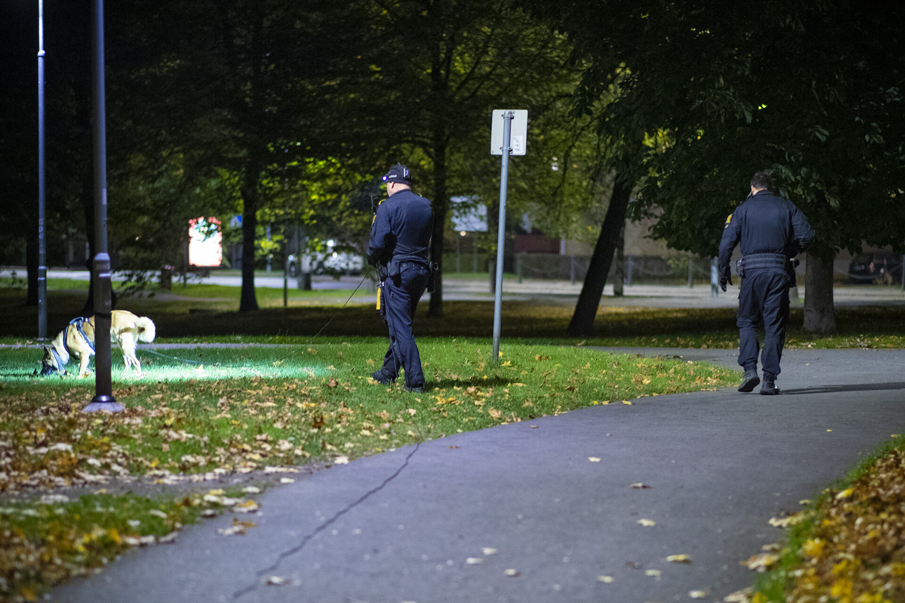 Guttegjeng: - Vi ble ranet med pistol