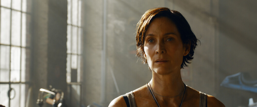 <span class=" italic" data-lab-italic_desktop="italic"><span class=" font-weight-bold" data-lab-font_weight_desktop="font-weight-bold">Gammel kjærlighet overvinner alt?</span> Carrie-Anne Moss ikler på ny rollen som Trinity</span> <span class=" italic" data-lab-italic_desktop="italic"><span class=" font-weight-bold" data-lab-font_weight_desktop="font-weight-bold">Gammel kjærlighet overvinner alt?</span> Carrie-Anne Moss ikler på ny rollen som Trinity</span>