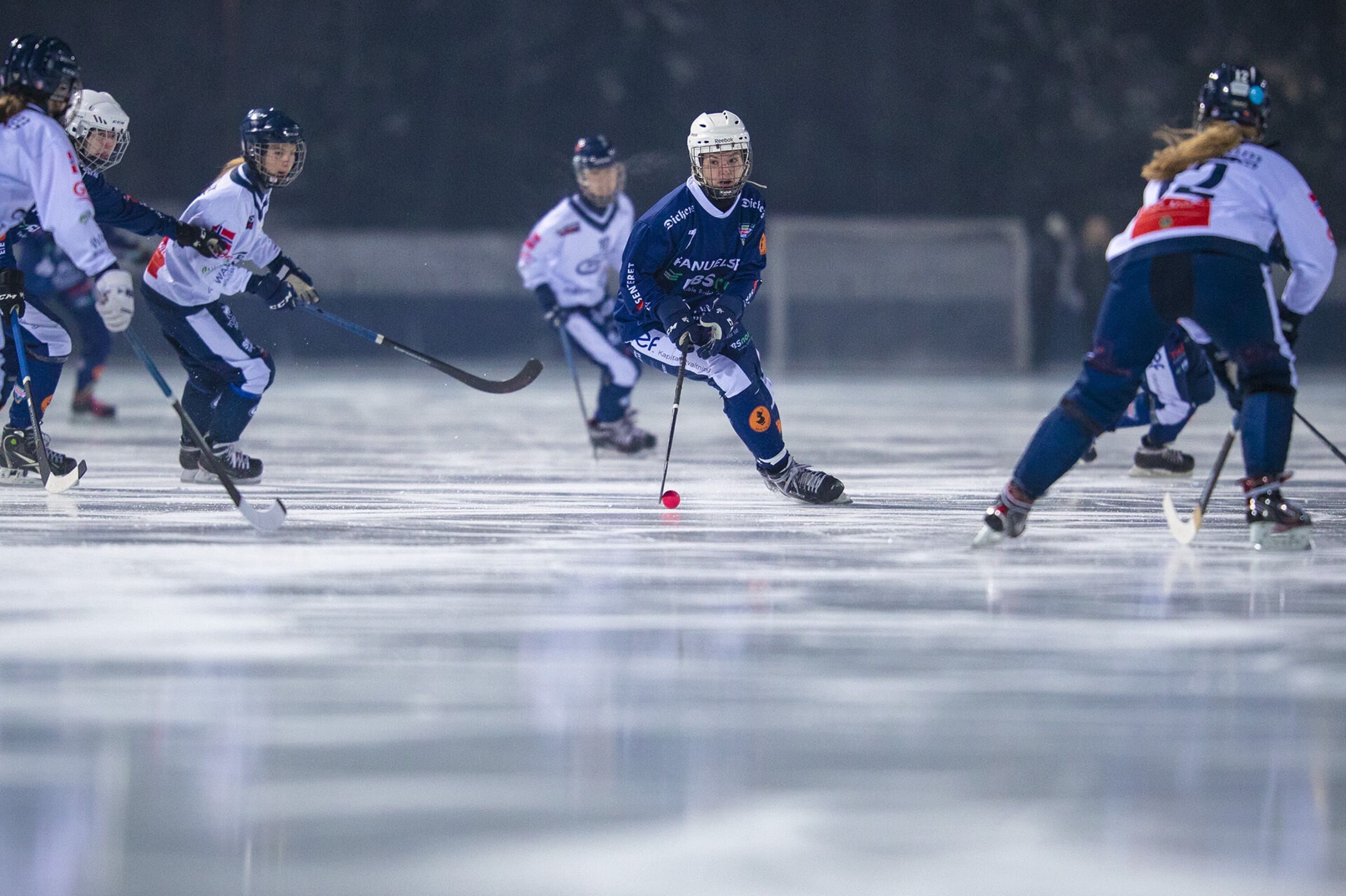En real nesestyver mot seriefavoritten