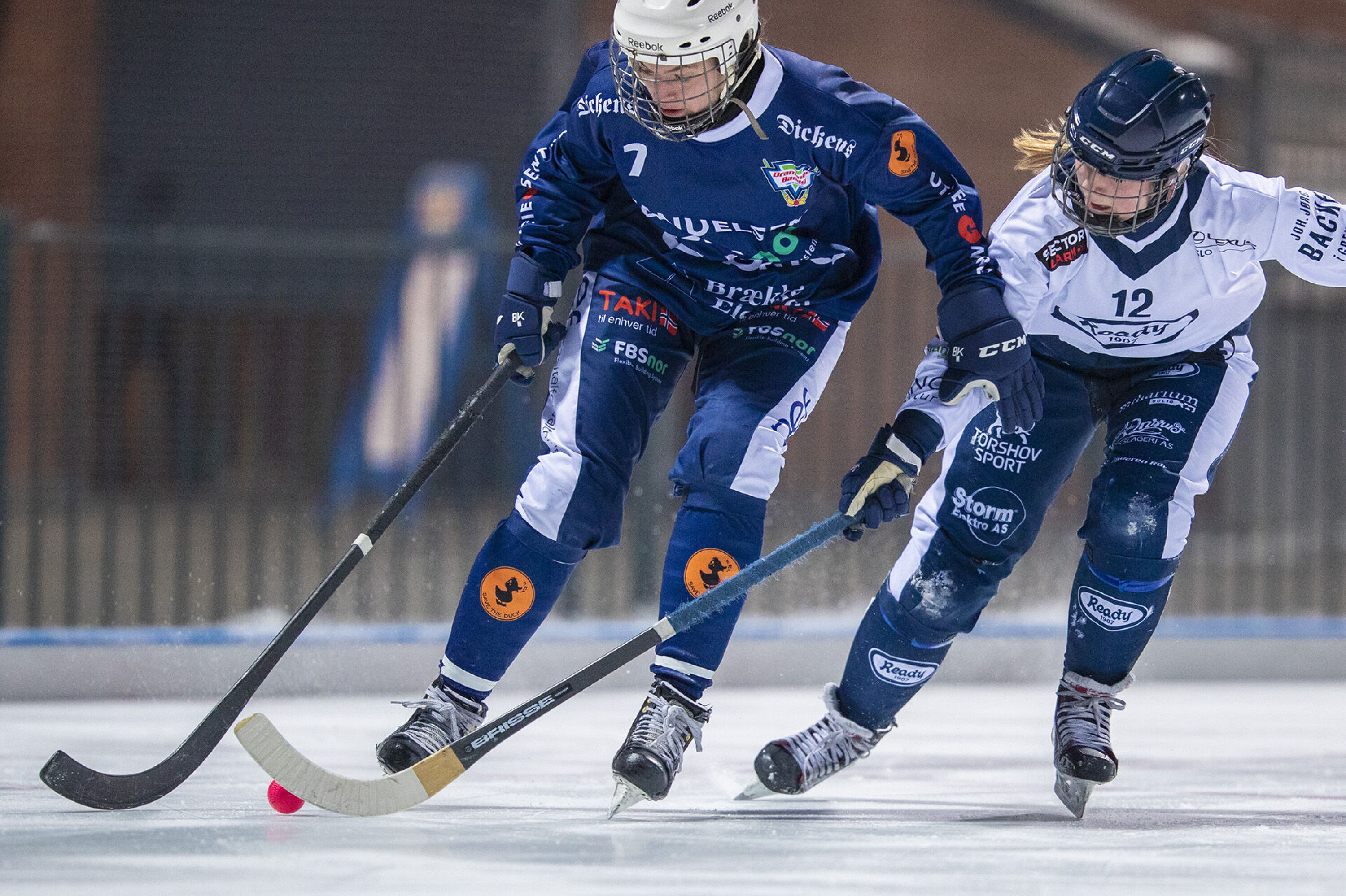 En real nesestyver mot seriefavoritten