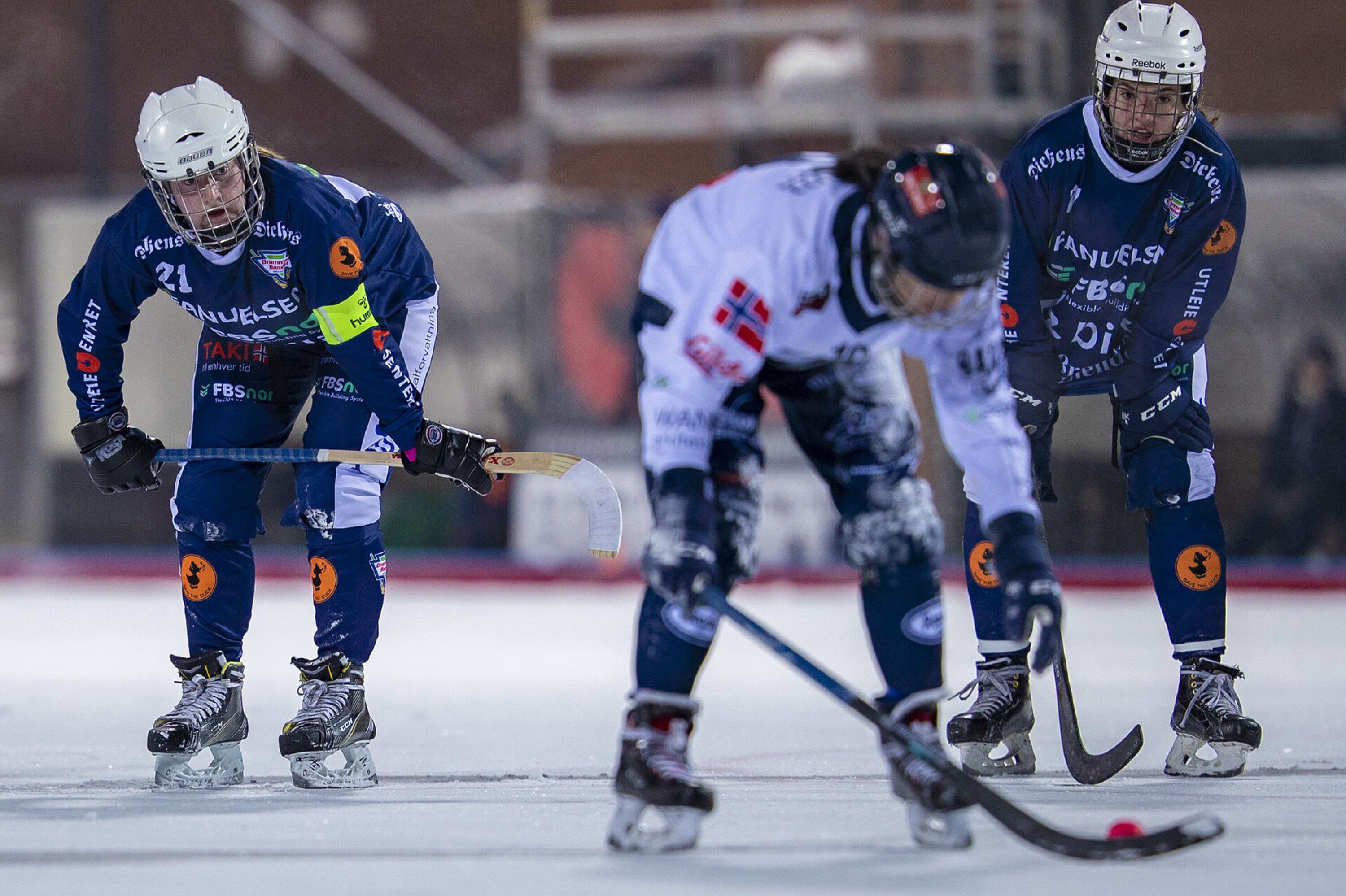 En real nesestyver mot seriefavoritten