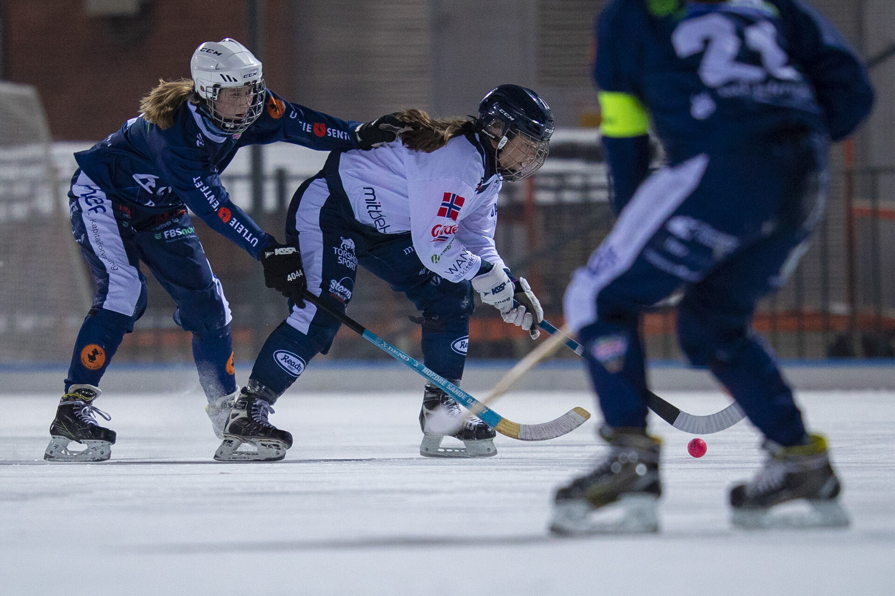 En real nesestyver mot seriefavoritten