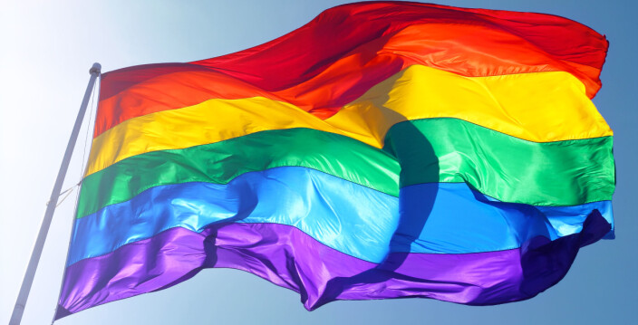 Vedtatt: Nå skal pride-flagget vaie fra byens skoler og barnehager