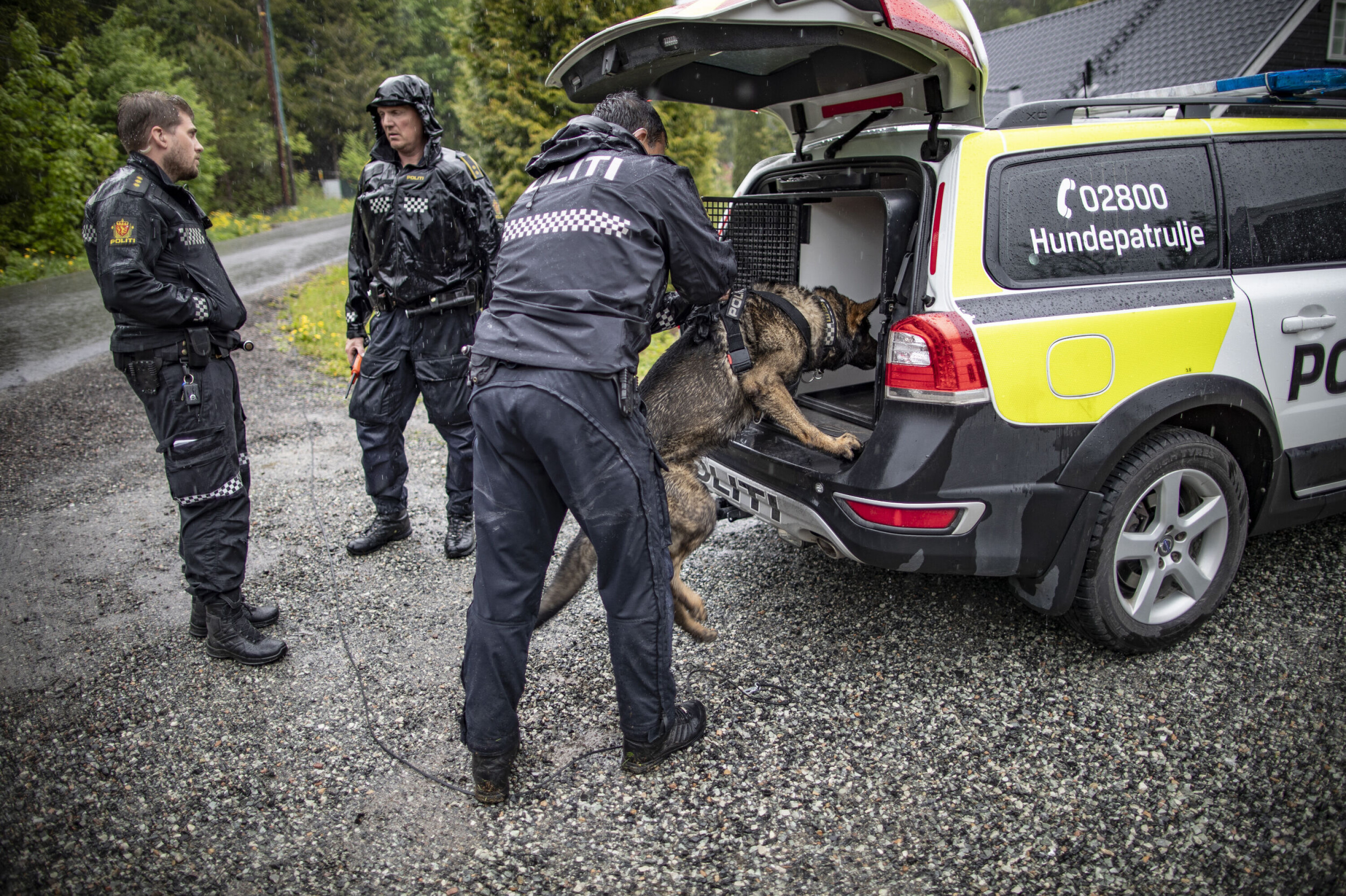 FULGTE SPOR: Hundepatruljen jobbet lenge i området, men måtte til slutt gi tapt i regnværet.
