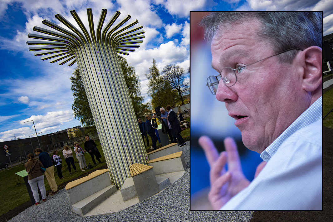 «MILJØSKULPTUR»: Denne innretningen har kostet kommunen en halv million kroner. «MILJØSKULPTUR»: Denne innretningen har kostet kommunen en halv million kroner.