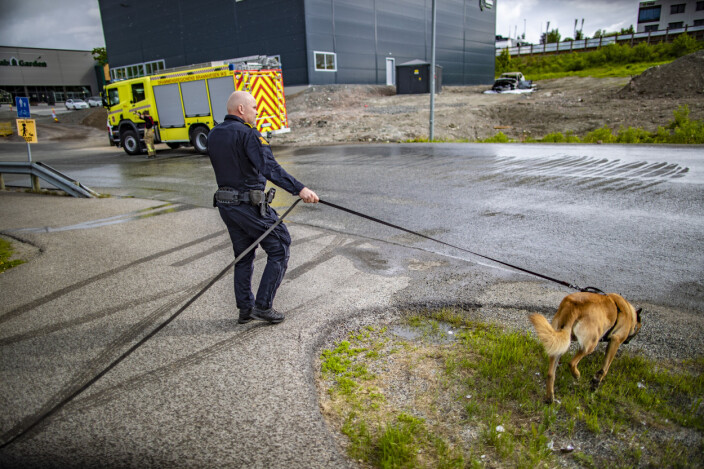 Hundesøk etter bilbrann i Kobbervikdalen