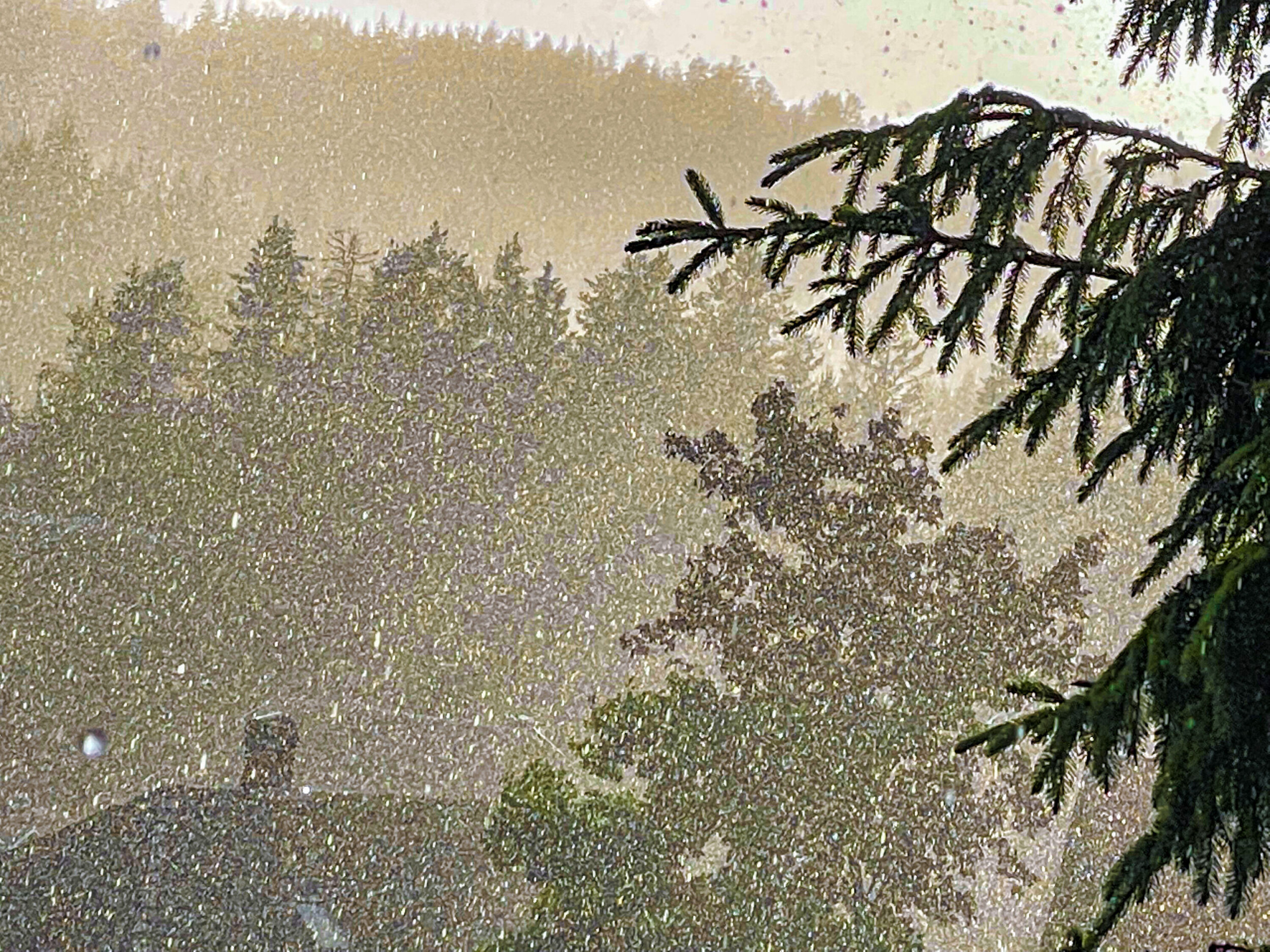 SOL OG REGN I SKJØNN FORENING: Svært ustabilt vær over Drammen lørdag, her på Konnerud.