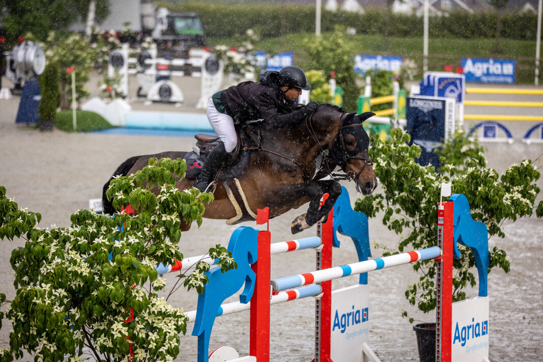 1. PLASS: Den soleklare vinneren ble brasilianske Thiago Ribas da Costa / Itchcock des Dames under Gjelsten Holding Championat, den gjeveste klassen under Norway Grand Prix i Lier lørdag. 1. PLASS: Den soleklare vinneren ble brasilianske Thiago Ribas da Costa / Itchcock des Dames under Gjelsten Holding Championat, den gjeveste klassen under Norway Grand Prix i Lier lørdag.