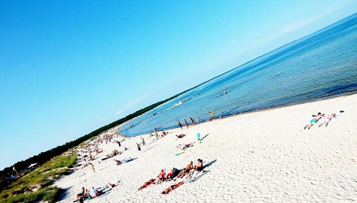 <span class=" italic" data-lab-italic_desktop="italic">Böda Sand er en av Sveriges mest populære campingplasser.</span> <span class=" italic" data-lab-italic_desktop="italic">Böda Sand er en av Sveriges mest populære campingplasser.</span>