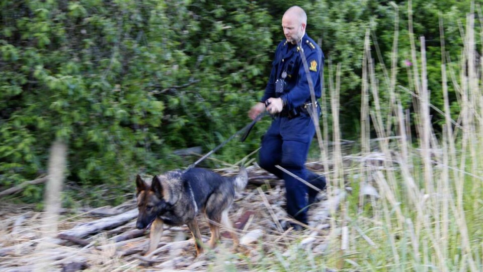 FORSVANT: En mistenkt mann forsvant for politiet i området ved Gilhusodden.