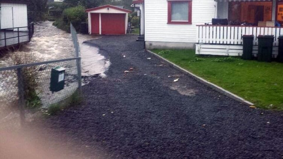GRAVDE UT GÅRDSPLASSEN: Her fra storflommen i september.FOTO: PRIVAT