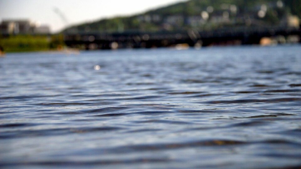 Elendig vannkvalitet på Bragernes Strand