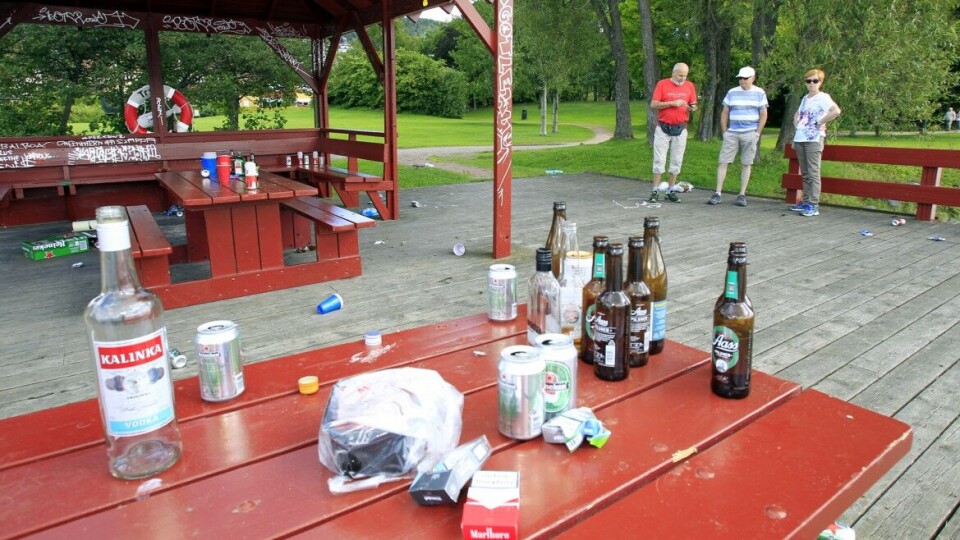 SVINESTI: Friluftsområdet bærer preg av en skikkelig fyllefest.