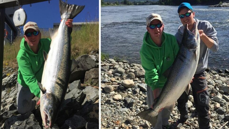 ÅRETS STØRSTE: Det var Tov Løvstuen, med god hjelp fra sønnen, som dro i land årets største laks (FOTO: PRIVAT)