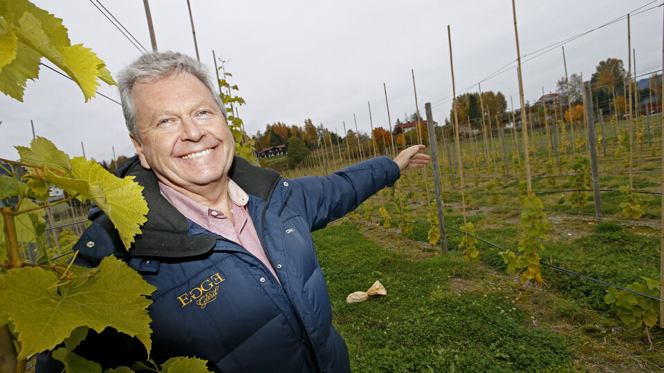 UTVIDER: Marius Egge peker ut området hvor 10.000 nye vinstokker skal gjøre Egge Gård til storprodusent av musserende vin.