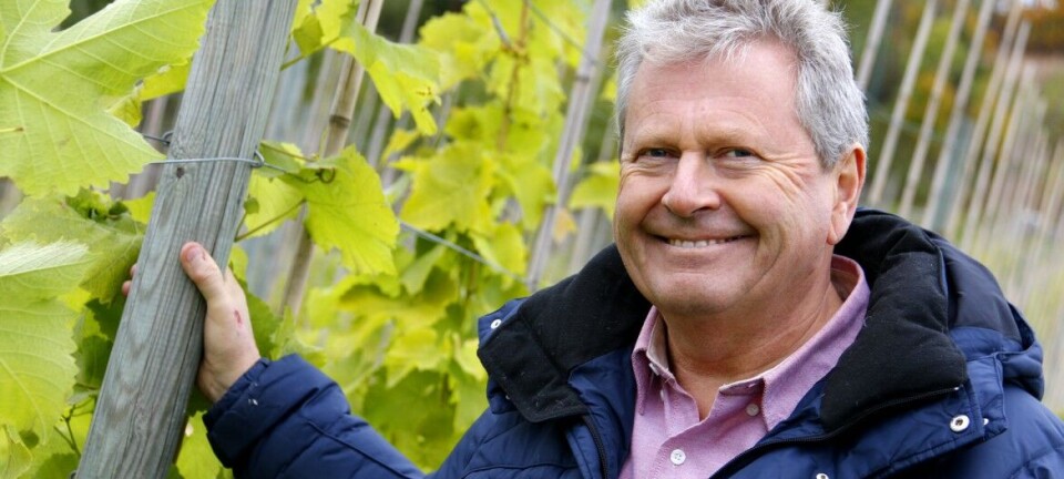 Druer er den nye vinen på Egge Gård