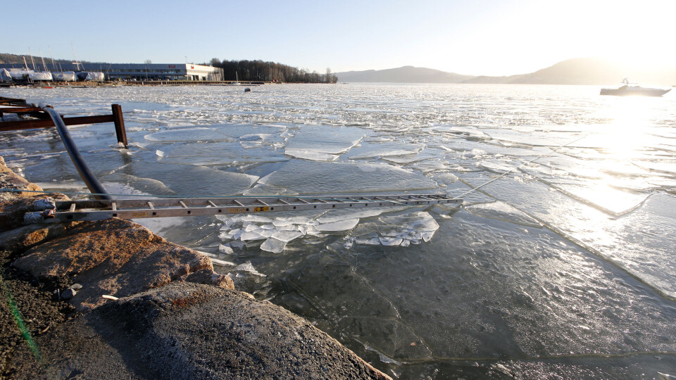 ALLE FOTO: ALEXANDER JANSEN / DRM24
