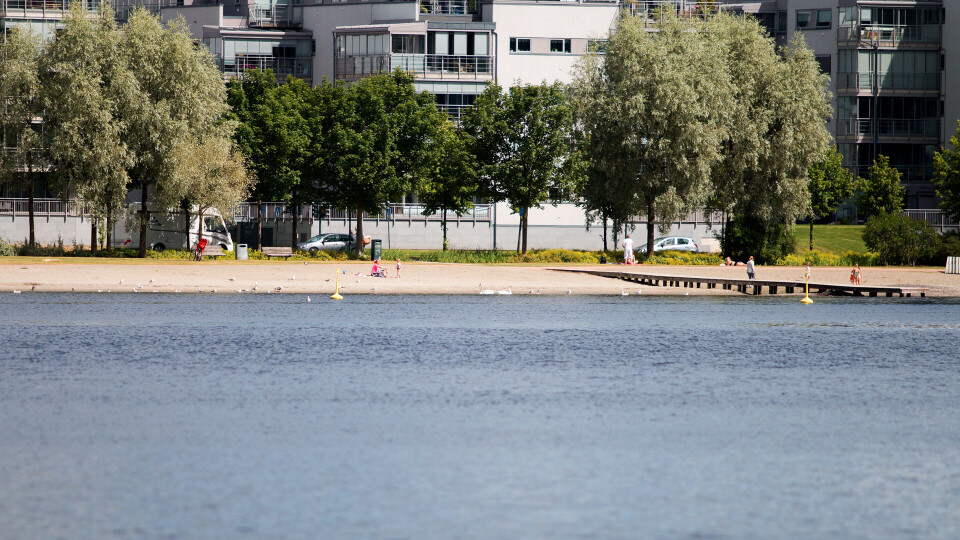 VARMEST: Bragernes Strand i Drammenselva, holder imponerende 22 grader.