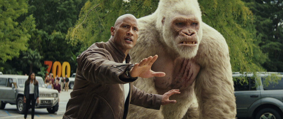 PRIMATOLOGIST: Dwayne Johnson spiller primatologisten David Okoyes, som prøver å forhindre at en aggressiv gorilla, George, blir angrepet av et helt kompani av soldater.