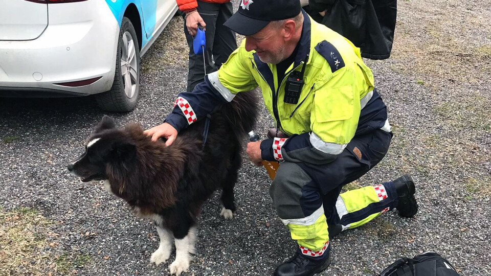 REDDET: «Tessi» ble reddet av brannmann Trond Kleven.