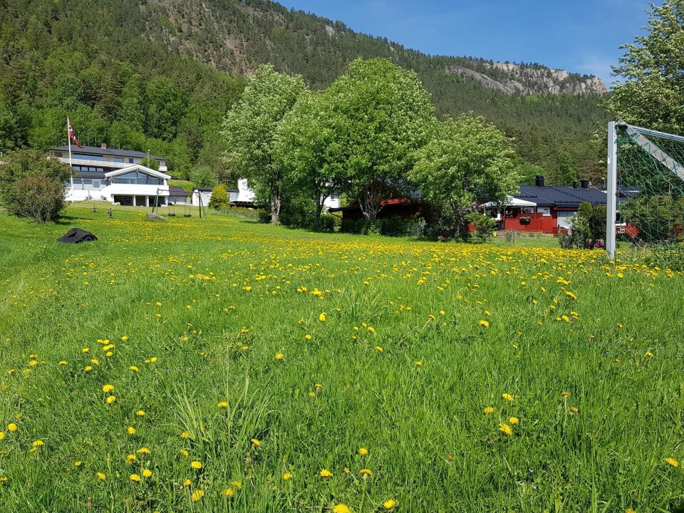 GJENGRODD: Det er dårlige fotballmuligheter på lekeplassen i Furubakken. (LESERFOTO: OLE-ANDREAS MO)