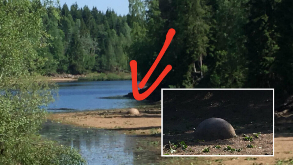INGEN MINE: Den kan både se ut som en mine og en kanonkule, men ballen i Svarttjern er bare en glassfibertank.