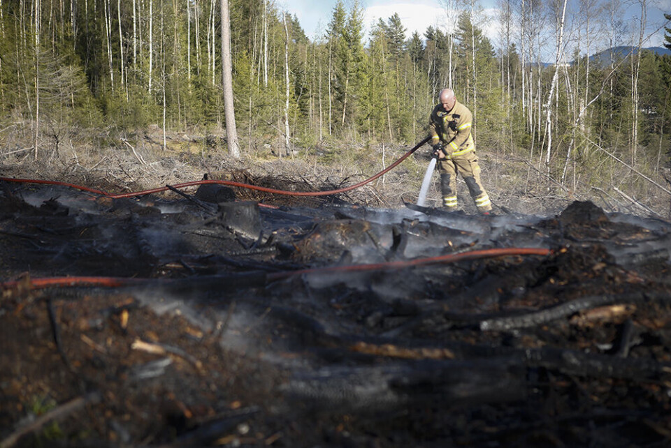 Ekstrem skogbrannfare - øker for hver dag som går