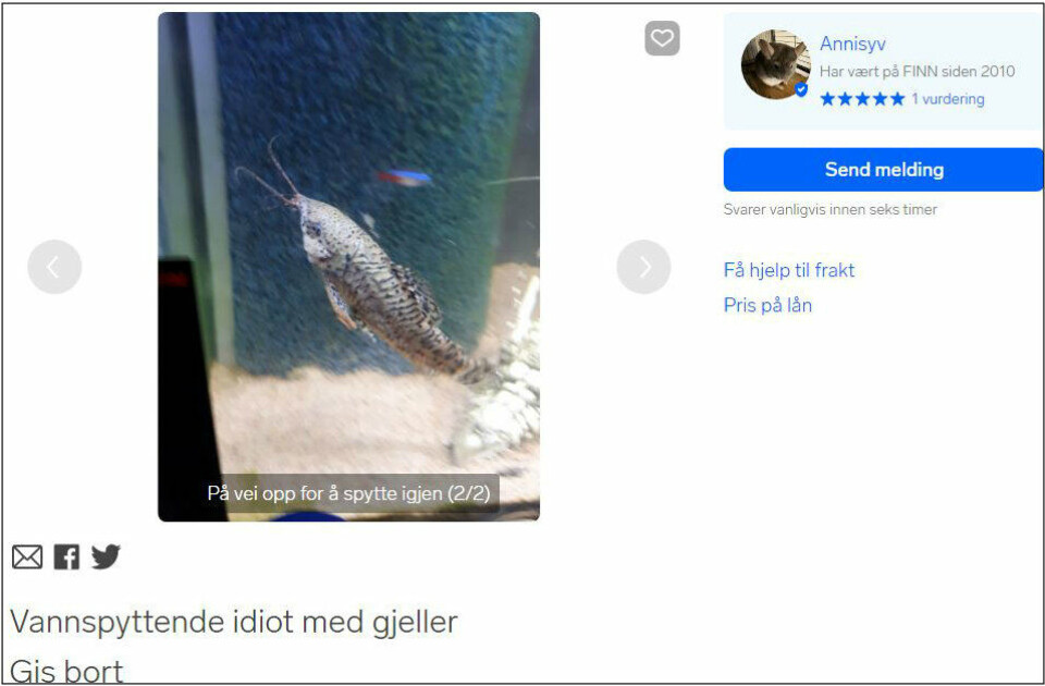 PANSERMALLE: Bildeteksten i annonsen er selvforklarende. (SKJERMDUMP: FINN.NO)