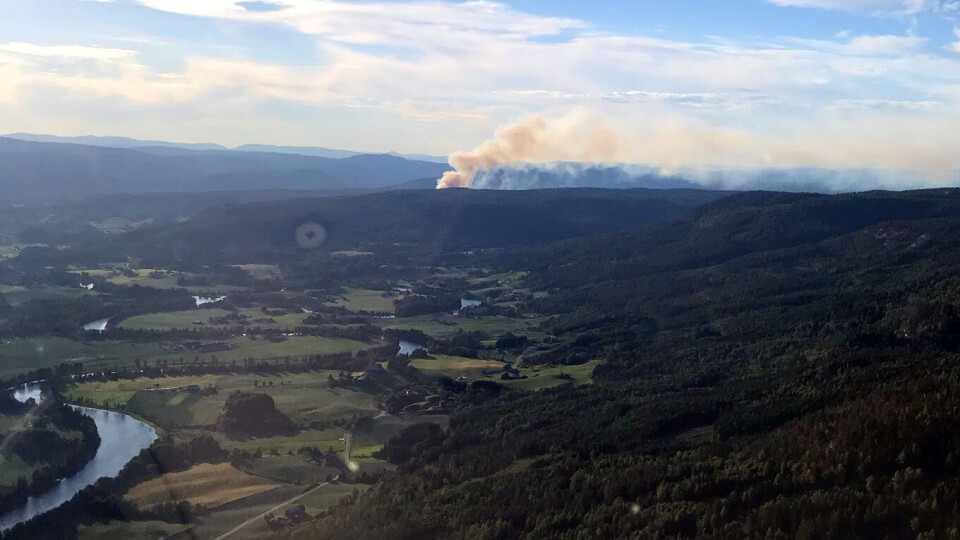 FRA LUFTA: Tre skogbrannhelikoptre ble satt inn i slukkearbeidet. (FOTO: SKOGBRANNHELI)
