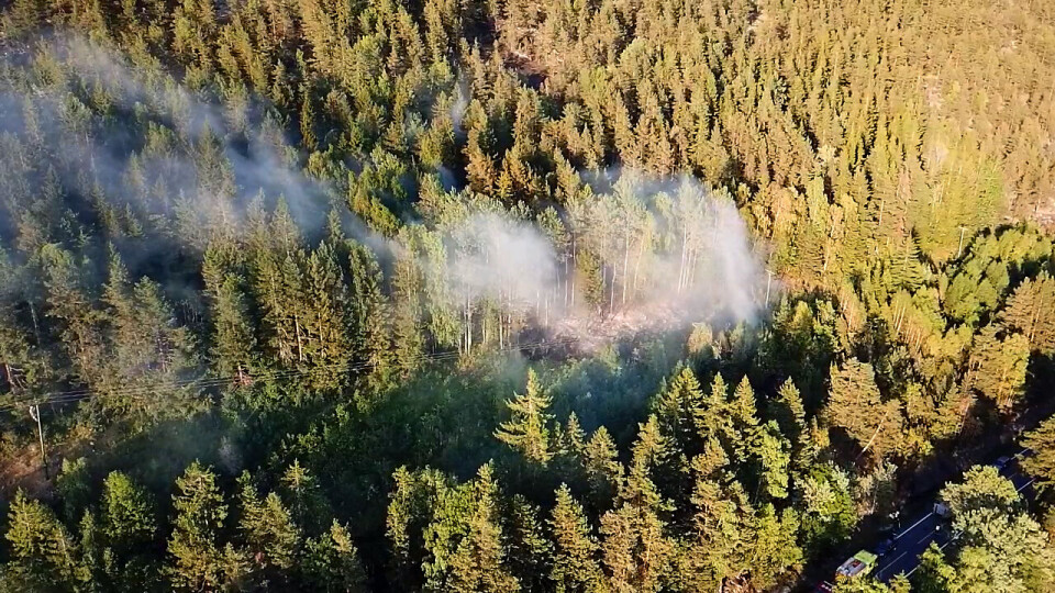 BRANNSTEDET: Det begynte å brenne under noen høyspentledninger.