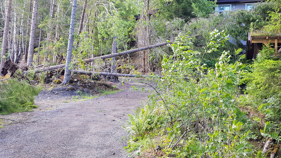 TREFALL: Her fra Grubbegata på Konnerud. (FOTO: KJETIL FJELLHEIM)