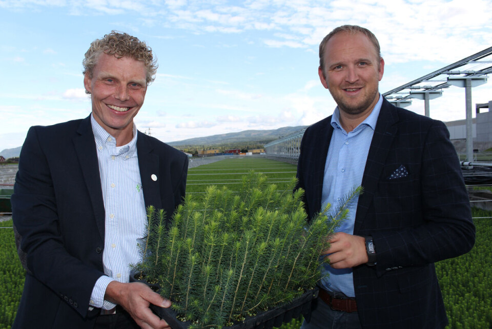 VISTE FREM: Daglig leder av Norgesplanter as, Lars Kihle viser her Jon Georg Dale plantene som snart er ferdig vokst på anlegget i Hokksund og som skal vokses før de skal plantes ut i nyhogd skog.