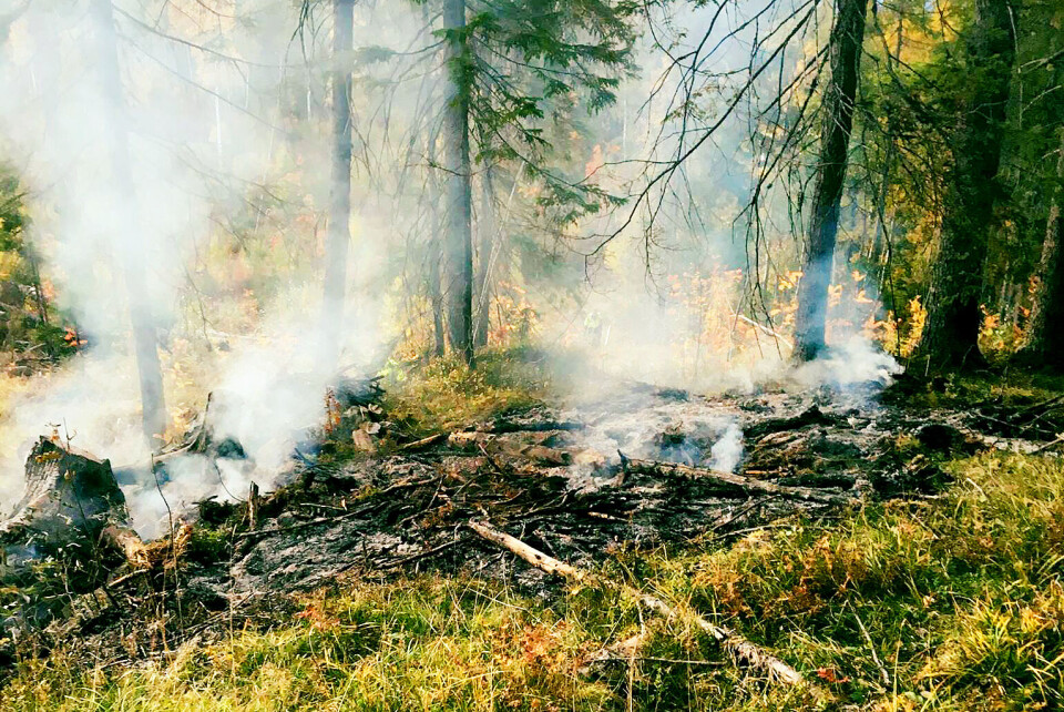 MJØNDALSSKAUEN: Bildene er tatt mandag kveld, hvor det brant ca 30 m2. Røyk fra brannen kunne sees til Stenseth på andre siden av bygda. Det var tydelig at brannen startet rundt et bål, ifølge brannvesenet.
