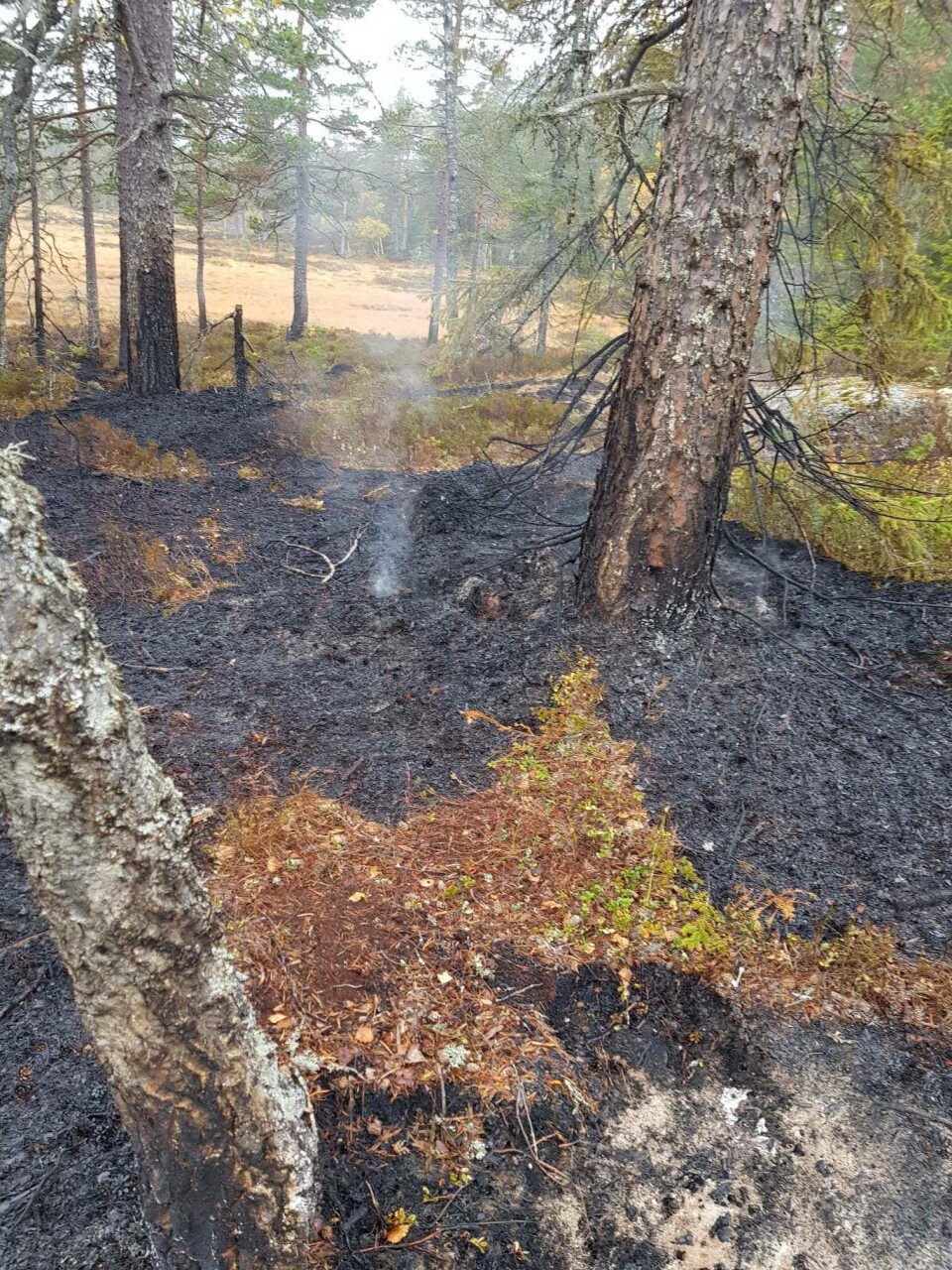 Tre skogbranner på én dag - tross liten skogbrannfare