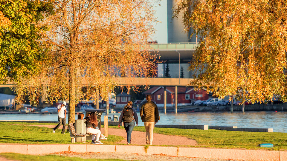 Her er listen over toppnoteringene i distriktet onsdag: