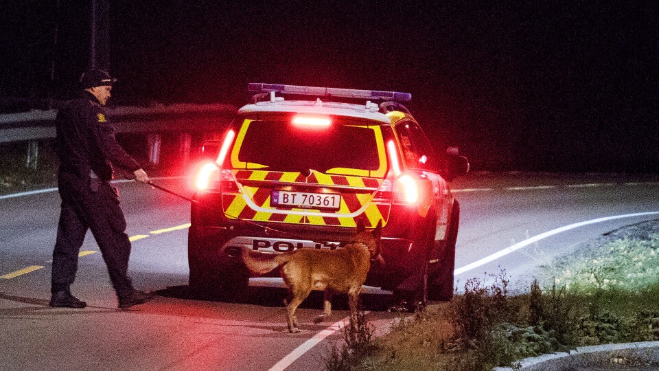 HUNDESØK: Flere hundepatruljer var i aksjon i området ved Lierelva natt til fredag.