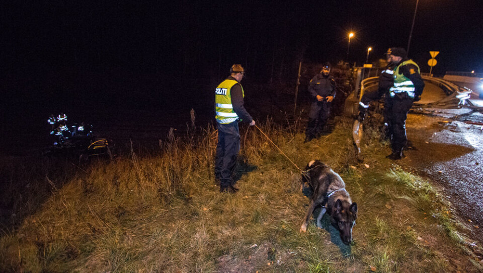 HUNDEPATRULJE: Politiet søkte med flere hunder i området. Til venstre i bildet ligger bilvraket.