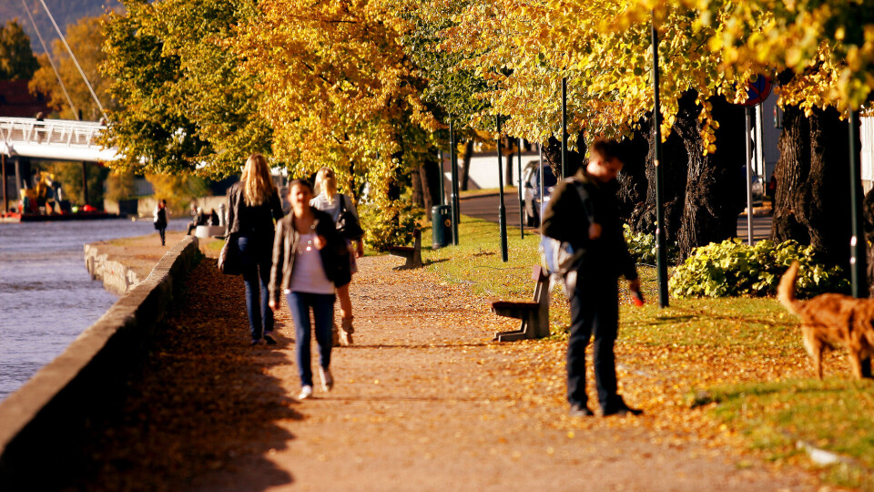 Nå blir det usedvanlig varmt!