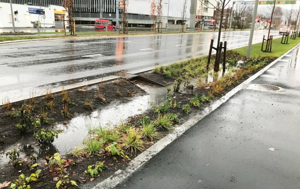 REGNBED: Regnbed er mye billigere enn konvensjonell overvannshåndtering.