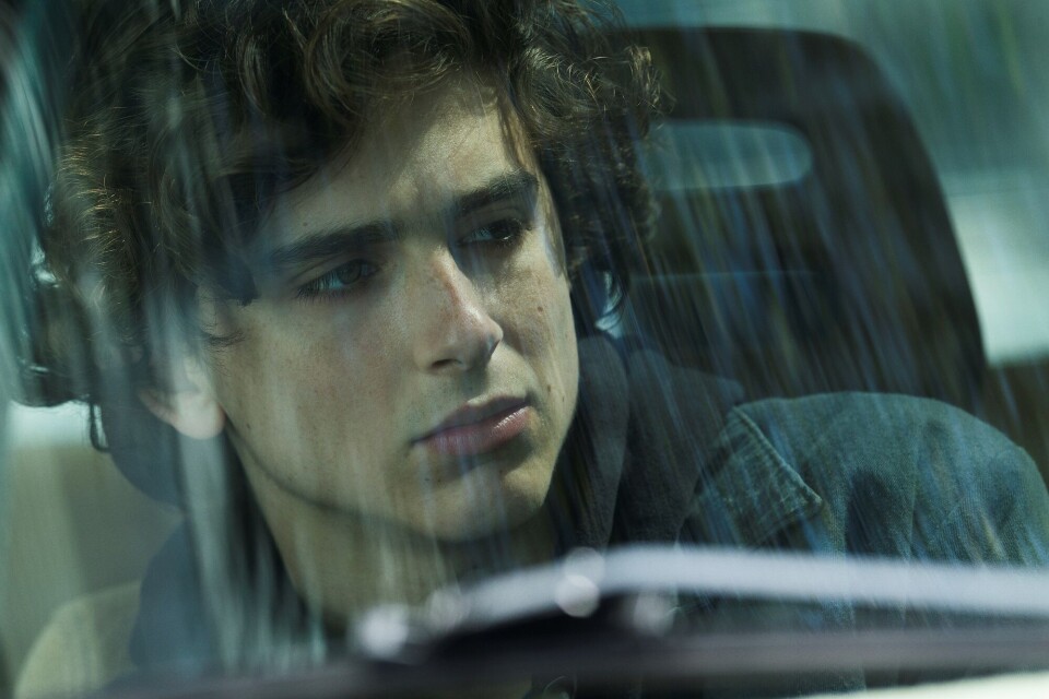 EN SØNNS KAMP: Timothée Chalamet spiller Nic som strever mot rusens tiltalende demoner.