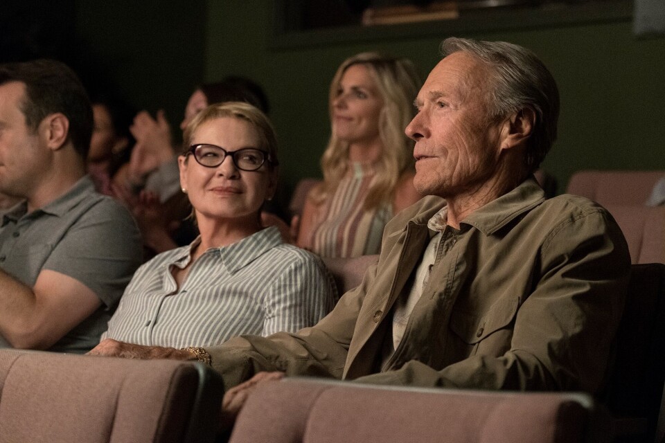 ANSTRENGT FORHOLD TIL EKSEN: Dianne Wiest spiller ekskona Mary
