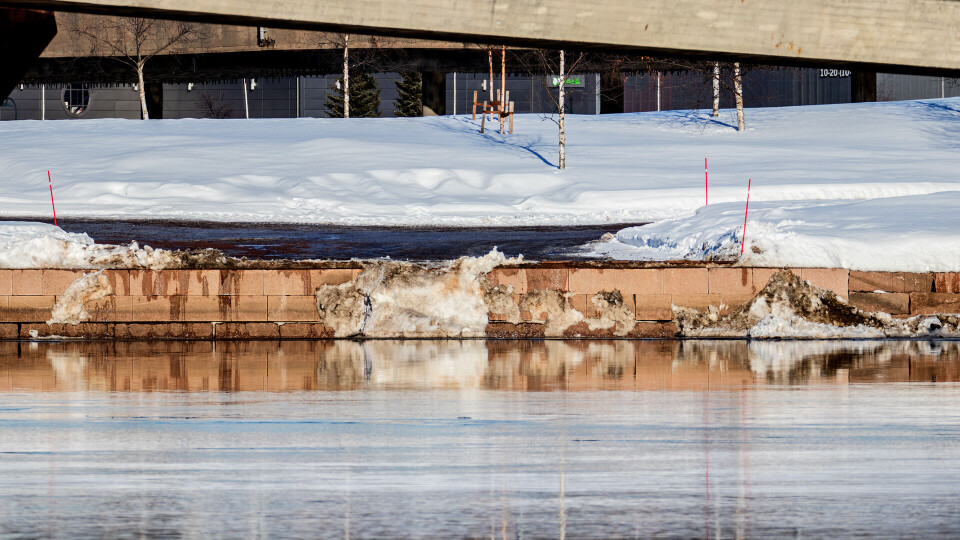 IKKE REN: Snøen som havner i elva er langt ifra ren, og inneholder både salt, eksos og søppel. (FOTO: ALEXANDER JANSEN / DRM24)