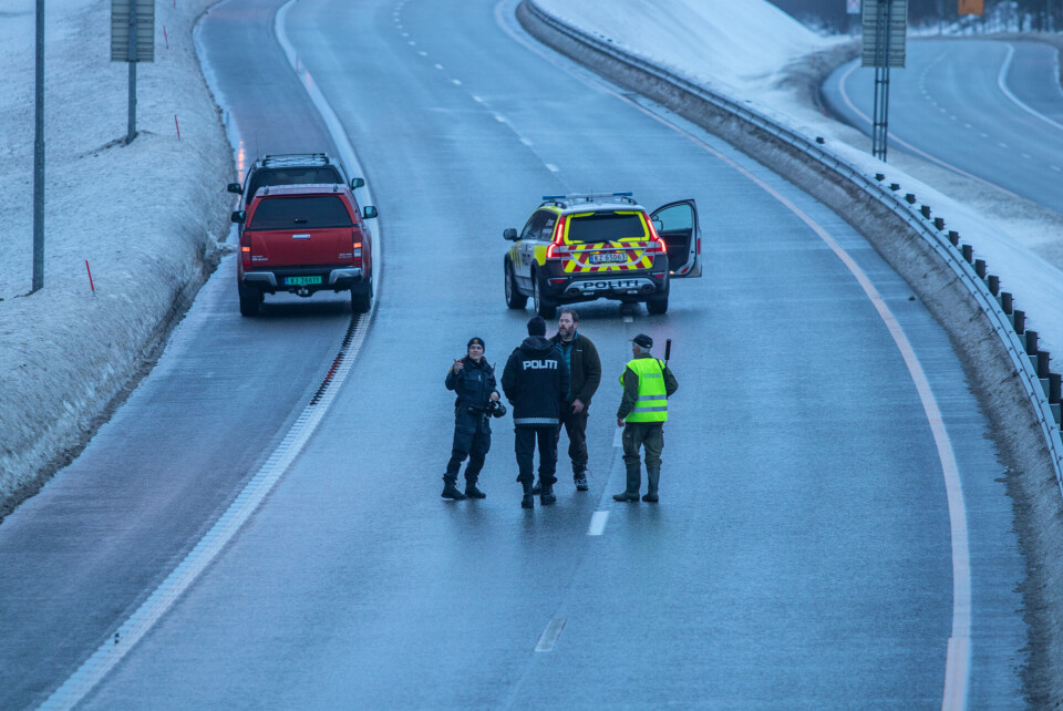 Og med kyndig bistand fra folk med gevær og jaktkunnskap, fikk lovens lange arm etter hvert jaget elgen opp i en skråning ved tofelt-en på Ytterkollen.