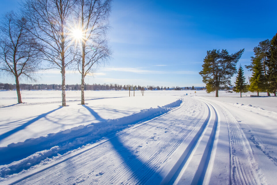 Skitips til deg som ikke er født med ski på beina