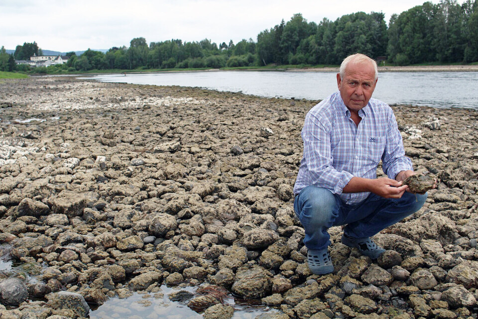 TREFIBERMASSE FRA HELLEFOSS: Simen Hansen viser deler av elvebredden som er belagt med trefibermasse fra Hellefoss. Bildet ble tatt 10. juli i 2017 da det var ekstremt lite vann i elva.