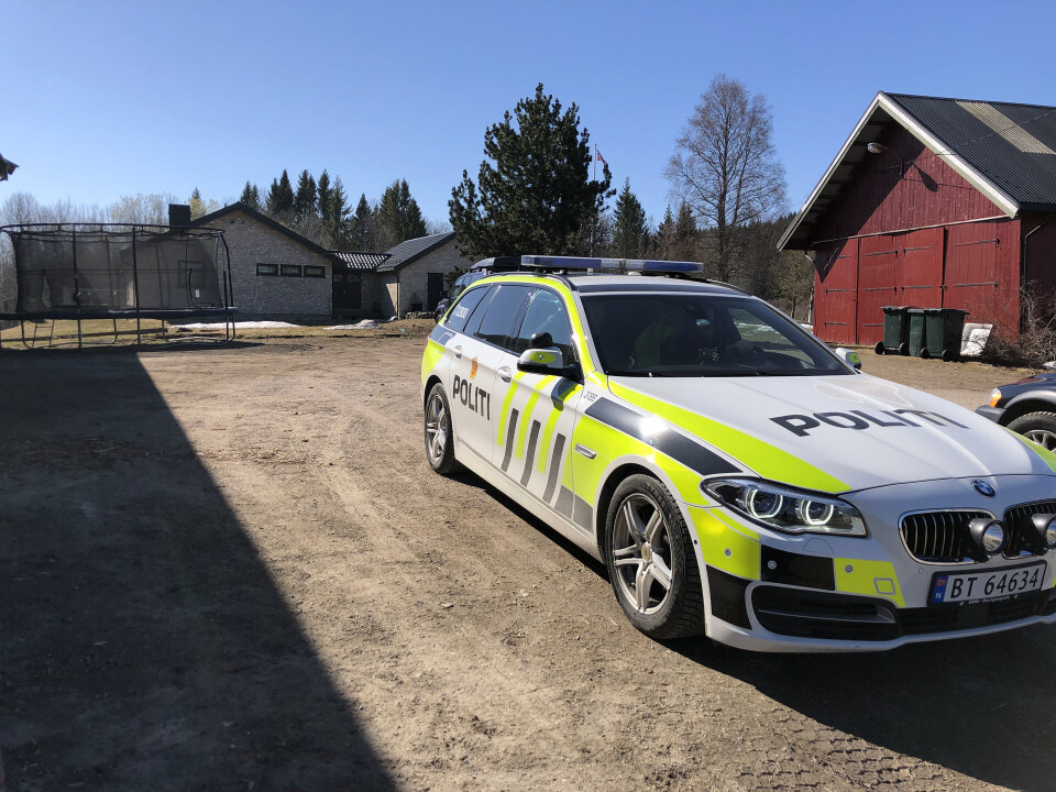 Løse hunder begikk massakre i hønsegård