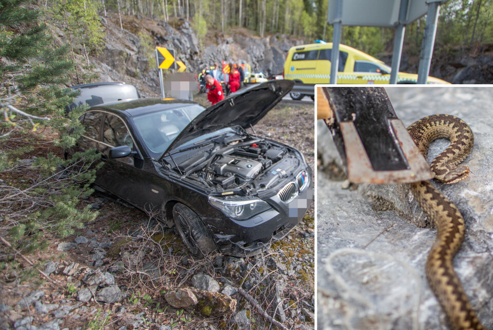 HUGGORM: Her pirker brannvesenet borti ormen med øksa for å sjekke tilstanden.